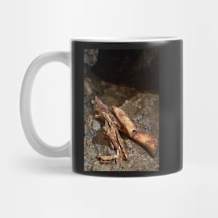 Cave bear fossils closeup Mug